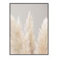 Picture of Creamy Petal Pampas II _GroupedProduct_Rectangle_Portrait_Photography _GroupedProduct_Rectangle_Portrait_Canvas_Framed_