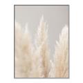 Picture of Creamy Petal Pampas II _GroupedProduct_Rectangle_Portrait_Photography _GroupedProduct_Rectangle_Portrait_Canvas_Framed_