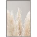 Picture of Creamy Petal Pampas II _GroupedProduct_Rectangle_Portrait_Photography _GroupedProduct_Rectangle_Portrait_Canvas_Framed_