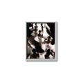Picture of Pale Bloom Ensemble _GroupedProduct_Rectangle_Portrait_Photography _GroupedProduct_Rectangle_Portrait_Canvas_Framed_