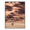 Picture of Tranquil Walk in the Valley _GroupedProduct_Rectangle_Portrait_Photography _GroupedProduct_Rectangle_Portrait_Canvas_Framed_