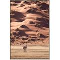 Picture of Tranquil Walk in the Valley _GroupedProduct_Rectangle_Portrait_Photography _GroupedProduct_Rectangle_Portrait_Canvas_Framed_