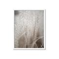 Picture of Elysian Grass _GroupedProduct_Rectangle_Portrait_Photography _GroupedProduct_Rectangle_Portrait_Framed_Matted_
