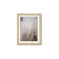 Picture of Elysian Grass _GroupedProduct_Rectangle_Portrait_Photography _GroupedProduct_Rectangle_Portrait_Framed_Matted_