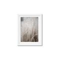 Picture of Elysian Grass _GroupedProduct_Rectangle_Portrait_Photography _GroupedProduct_Rectangle_Portrait_Framed_Matted_