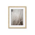 Picture of Elysian Grass _GroupedProduct_Rectangle_Portrait_Photography _GroupedProduct_Rectangle_Portrait_Framed_Matted_
