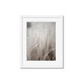 Picture of Elysian Grass _GroupedProduct_Rectangle_Portrait_Photography _GroupedProduct_Rectangle_Portrait_Framed_Matted_
