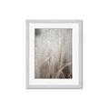 Picture of Elysian Grass _GroupedProduct_Rectangle_Portrait_Photography _GroupedProduct_Rectangle_Portrait_Framed_Matted_