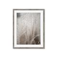 Picture of Elysian Grass _GroupedProduct_Rectangle_Portrait_Photography _GroupedProduct_Rectangle_Portrait_Framed_Matted_