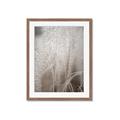 Picture of Elysian Grass _GroupedProduct_Rectangle_Portrait_Photography _GroupedProduct_Rectangle_Portrait_Framed_Matted_