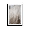 Picture of Elysian Grass _GroupedProduct_Rectangle_Portrait_Photography _GroupedProduct_Rectangle_Portrait_Framed_Matted_