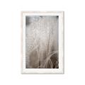 Picture of Elysian Grass _GroupedProduct_Rectangle_Portrait_Photography _GroupedProduct_Rectangle_Portrait_Framed_Matted_