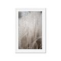 Picture of Elysian Grass _GroupedProduct_Rectangle_Portrait_Photography _GroupedProduct_Rectangle_Portrait_Framed_Matted_