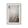 Picture of Elysian Grass _GroupedProduct_Rectangle_Portrait_Photography _GroupedProduct_Rectangle_Portrait_Framed_Matted_
