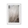 Picture of Elysian Grass _GroupedProduct_Rectangle_Portrait_Photography _GroupedProduct_Rectangle_Portrait_Framed_Matted_