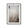 Picture of Elysian Grass _GroupedProduct_Rectangle_Portrait_Photography _GroupedProduct_Rectangle_Portrait_Framed_Matted_