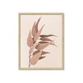 Picture of Dried Eucalyptus Blossom _GroupedProduct_Rectangle_Portrait_Photography _GroupedProduct_Rectangle_Portrait_Framed_Matted_