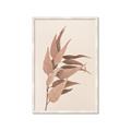 Picture of Dried Eucalyptus Blossom _GroupedProduct_Rectangle_Portrait_Photography _GroupedProduct_Rectangle_Portrait_Framed_Matted_