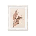 Picture of Dried Eucalyptus Blossom _GroupedProduct_Rectangle_Portrait_Photography _GroupedProduct_Rectangle_Portrait_Framed_Matted_