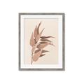 Picture of Dried Eucalyptus Blossom _GroupedProduct_Rectangle_Portrait_Photography _GroupedProduct_Rectangle_Portrait_Framed_Matted_