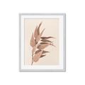Picture of Dried Eucalyptus Blossom _GroupedProduct_Rectangle_Portrait_Photography _GroupedProduct_Rectangle_Portrait_Framed_Matted_