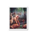 Picture of Flamingo _GroupedProduct_Rectangle_Portrait_Photography _GroupedProduct_Rectangle_Portrait_Framed_Matted_