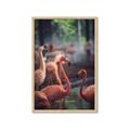 Picture of Flamingo _GroupedProduct_Rectangle_Portrait_Photography _GroupedProduct_Rectangle_Portrait_Framed_Matted_