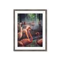 Picture of Flamingo _GroupedProduct_Rectangle_Portrait_Photography _GroupedProduct_Rectangle_Portrait_Framed_Matted_
