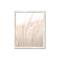 Picture of Rhapsody of Grass Blades _GroupedProduct_Rectangle_Portrait_Photography _GroupedProduct_Rectangle_Portrait_Framed_Matted_