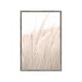 Picture of Rhapsody of Grass Blades _GroupedProduct_Rectangle_Portrait_Photography _GroupedProduct_Rectangle_Portrait_Framed_Matted_