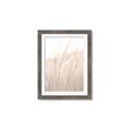 Picture of Rhapsody of Grass Blades _GroupedProduct_Rectangle_Portrait_Photography _GroupedProduct_Rectangle_Portrait_Framed_Matted_
