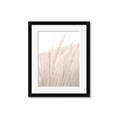 Picture of Rhapsody of Grass Blades _GroupedProduct_Rectangle_Portrait_Photography _GroupedProduct_Rectangle_Portrait_Framed_Matted_