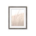 Picture of Rhapsody of Grass Blades _GroupedProduct_Rectangle_Portrait_Photography _GroupedProduct_Rectangle_Portrait_Framed_Matted_