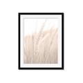 Picture of Rhapsody of Grass Blades _GroupedProduct_Rectangle_Portrait_Photography _GroupedProduct_Rectangle_Portrait_Framed_Matted_