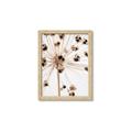 Picture of Ethereal Flower _GroupedProduct_Rectangle_Portrait_Photography _GroupedProduct_Rectangle_Portrait_Framed_Matted_