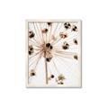 Picture of Ethereal Flower _GroupedProduct_Rectangle_Portrait_Photography _GroupedProduct_Rectangle_Portrait_Framed_Matted_