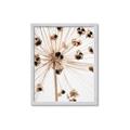 Picture of Ethereal Flower _GroupedProduct_Rectangle_Portrait_Photography _GroupedProduct_Rectangle_Portrait_Framed_Matted_