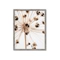 Picture of Ethereal Flower _GroupedProduct_Rectangle_Portrait_Photography _GroupedProduct_Rectangle_Portrait_Framed_Matted_