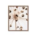 Picture of Ethereal Flower _GroupedProduct_Rectangle_Portrait_Photography _GroupedProduct_Rectangle_Portrait_Framed_Matted_