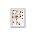 Picture of Ethereal Flower _GroupedProduct_Rectangle_Portrait_Photography _GroupedProduct_Rectangle_Portrait_Framed_Matted_