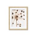 Picture of Ethereal Flower _GroupedProduct_Rectangle_Portrait_Photography _GroupedProduct_Rectangle_Portrait_Framed_Matted_
