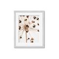 Picture of Ethereal Flower _GroupedProduct_Rectangle_Portrait_Photography _GroupedProduct_Rectangle_Portrait_Framed_Matted_