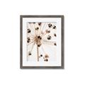 Picture of Ethereal Flower _GroupedProduct_Rectangle_Portrait_Photography _GroupedProduct_Rectangle_Portrait_Framed_Matted_