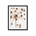 Picture of Ethereal Flower _GroupedProduct_Rectangle_Portrait_Photography _GroupedProduct_Rectangle_Portrait_Framed_Matted_