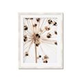 Picture of Ethereal Flower _GroupedProduct_Rectangle_Portrait_Photography _GroupedProduct_Rectangle_Portrait_Framed_Matted_