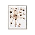 Picture of Ethereal Flower _GroupedProduct_Rectangle_Portrait_Photography _GroupedProduct_Rectangle_Portrait_Framed_Matted_