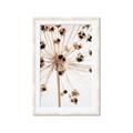 Picture of Ethereal Flower _GroupedProduct_Rectangle_Portrait_Photography _GroupedProduct_Rectangle_Portrait_Framed_Matted_