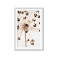 Picture of Ethereal Flower _GroupedProduct_Rectangle_Portrait_Photography _GroupedProduct_Rectangle_Portrait_Framed_Matted_