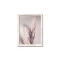 Picture of Enchanted Pampas Grass _GroupedProduct_Rectangle_Portrait_Photography _GroupedProduct_Rectangle_Portrait_Framed_Matted_