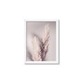 Picture of Enchanted Pampas Grass _GroupedProduct_Rectangle_Portrait_Photography _GroupedProduct_Rectangle_Portrait_Framed_Matted_